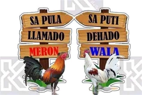 Sabong toppers .